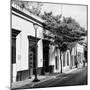 ¡Viva Mexico! Square Collection - Oaxaca B&W-Philippe Hugonnard-Mounted Photographic Print