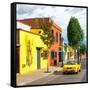 ¡Viva Mexico! Square Collection - Oaxaca Street-Philippe Hugonnard-Framed Stretched Canvas