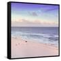 ¡Viva Mexico! Square Collection - Ocean View at Sunset in Cancun III-Philippe Hugonnard-Framed Stretched Canvas