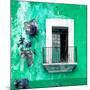 ¡Viva Mexico! Square Collection - Old Green Facade-Philippe Hugonnard-Mounted Photographic Print