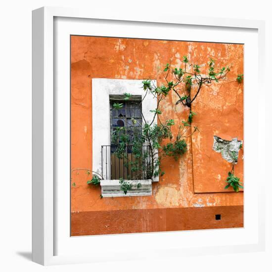 ?Viva Mexico! Square Collection - Old Orange Facade II-Philippe Hugonnard-Framed Photographic Print
