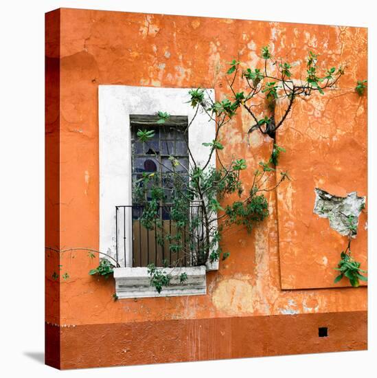 ?Viva Mexico! Square Collection - Old Orange Facade II-Philippe Hugonnard-Stretched Canvas