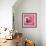 ¡Viva Mexico! Square Collection - Old Pink Facade II-Philippe Hugonnard-Framed Photographic Print displayed on a wall