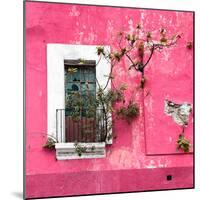 ¡Viva Mexico! Square Collection - Old Pink Facade II-Philippe Hugonnard-Mounted Photographic Print