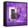 ¡Viva Mexico! Square Collection - Old Purple Facade II-Philippe Hugonnard-Framed Stretched Canvas