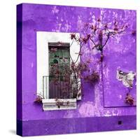 ¡Viva Mexico! Square Collection - Old Purple Facade II-Philippe Hugonnard-Stretched Canvas