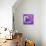 ¡Viva Mexico! Square Collection - Old Purple Facade II-Philippe Hugonnard-Stretched Canvas displayed on a wall