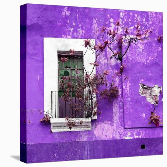 ¡Viva Mexico! Square Collection - Old Purple Facade II-Philippe Hugonnard-Stretched Canvas