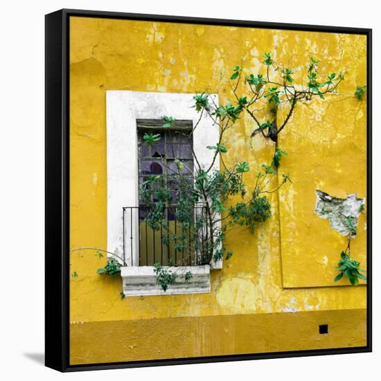 ¡Viva Mexico! Square Collection - Old Yellow Facade II-Philippe Hugonnard-Framed Stretched Canvas