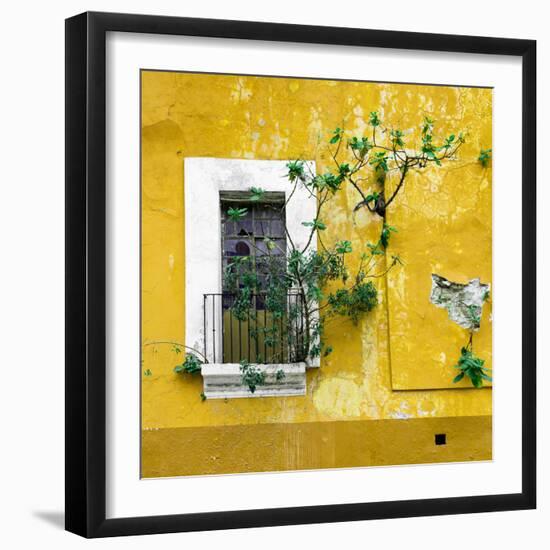 ¡Viva Mexico! Square Collection - Old Yellow Facade II-Philippe Hugonnard-Framed Photographic Print