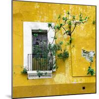 ¡Viva Mexico! Square Collection - Old Yellow Facade II-Philippe Hugonnard-Mounted Photographic Print