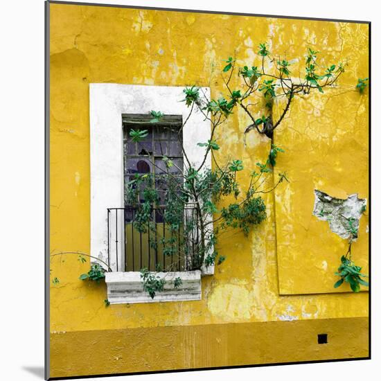 ¡Viva Mexico! Square Collection - Old Yellow Facade II-Philippe Hugonnard-Mounted Photographic Print