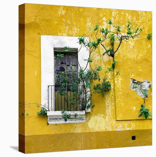 ¡Viva Mexico! Square Collection - Old Yellow Facade II-Philippe Hugonnard-Stretched Canvas