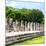 ¡Viva Mexico! Square Collection - One Thousand Mayan Columns in Chichen Itza II-Philippe Hugonnard-Mounted Photographic Print