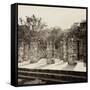 ¡Viva Mexico! Square Collection - One Thousand Mayan Columns in Chichen Itza VI-Philippe Hugonnard-Framed Stretched Canvas