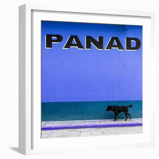¡Viva Mexico! Square Collection - "PANAD" Blue Street Wall-Philippe Hugonnard-Framed Photographic Print