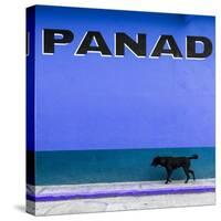 ¡Viva Mexico! Square Collection - "PANAD" Blue Street Wall-Philippe Hugonnard-Stretched Canvas