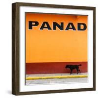 ¡Viva Mexico! Square Collection - "PANAD" Orange Street Wall-Philippe Hugonnard-Framed Photographic Print