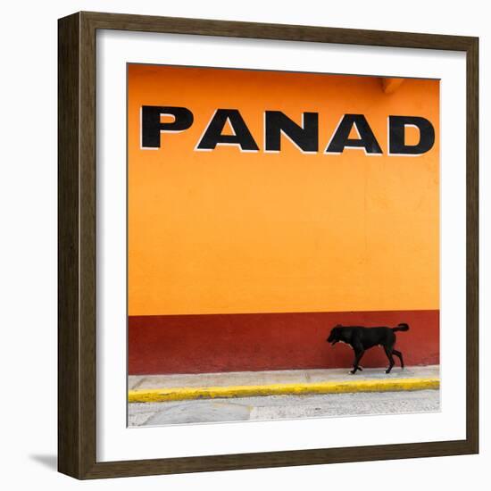 ¡Viva Mexico! Square Collection - "PANAD" Orange Street Wall-Philippe Hugonnard-Framed Photographic Print