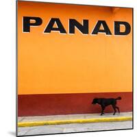 ¡Viva Mexico! Square Collection - "PANAD" Orange Street Wall-Philippe Hugonnard-Mounted Photographic Print