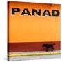 ¡Viva Mexico! Square Collection - "PANAD" Orange Street Wall-Philippe Hugonnard-Stretched Canvas