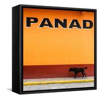 ¡Viva Mexico! Square Collection - "PANAD" Orange Street Wall-Philippe Hugonnard-Framed Stretched Canvas