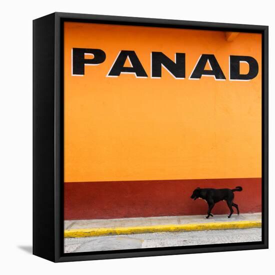 ¡Viva Mexico! Square Collection - "PANAD" Orange Street Wall-Philippe Hugonnard-Framed Stretched Canvas