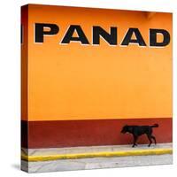 ¡Viva Mexico! Square Collection - "PANAD" Orange Street Wall-Philippe Hugonnard-Stretched Canvas