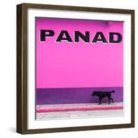 ¡Viva Mexico! Square Collection - "PANAD" Pink Street Wall-Philippe Hugonnard-Framed Photographic Print