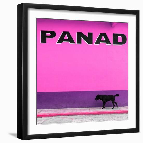 ¡Viva Mexico! Square Collection - "PANAD" Pink Street Wall-Philippe Hugonnard-Framed Photographic Print