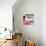 ¡Viva Mexico! Square Collection - Pink Extra-Philippe Hugonnard-Stretched Canvas displayed on a wall