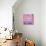 ¡Viva Mexico! Square Collection - Pink Grunge Wall-Philippe Hugonnard-Photographic Print displayed on a wall