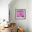 ¡Viva Mexico! Square Collection - Pink Papeleria-Philippe Hugonnard-Framed Photographic Print displayed on a wall