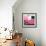 ¡Viva Mexico! Square Collection - Pink VW Beetle Car and American Graffiti-Philippe Hugonnard-Framed Photographic Print displayed on a wall