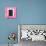 ¡Viva Mexico! Square Collection - Pink Wall & Black Window-Philippe Hugonnard-Photographic Print displayed on a wall