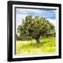 ¡Viva Mexico! Square Collection - Prickly Pear Cactus I-Philippe Hugonnard-Framed Photographic Print