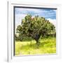 ¡Viva Mexico! Square Collection - Prickly Pear Cactus I-Philippe Hugonnard-Framed Photographic Print