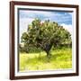 ¡Viva Mexico! Square Collection - Prickly Pear Cactus I-Philippe Hugonnard-Framed Photographic Print