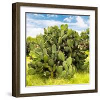 ¡Viva Mexico! Square Collection - Prickly Pear Cactus III-Philippe Hugonnard-Framed Photographic Print