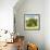 ¡Viva Mexico! Square Collection - Prickly Pear Cactus III-Philippe Hugonnard-Framed Photographic Print displayed on a wall