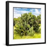 ¡Viva Mexico! Square Collection - Prickly Pear Cactus III-Philippe Hugonnard-Framed Photographic Print