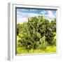 ¡Viva Mexico! Square Collection - Prickly Pear Cactus III-Philippe Hugonnard-Framed Photographic Print