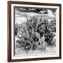 ¡Viva Mexico! Square Collection - Prickly Pear Cactus IV-Philippe Hugonnard-Framed Photographic Print