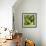 ?Viva Mexico! Square Collection - Prickly Pear Cactus V-Philippe Hugonnard-Framed Photographic Print displayed on a wall