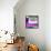 ¡Viva Mexico! Square Collection - Purple Extra-Philippe Hugonnard-Framed Stretched Canvas displayed on a wall