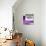 ¡Viva Mexico! Square Collection - Purple Extra-Philippe Hugonnard-Stretched Canvas displayed on a wall