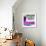 ¡Viva Mexico! Square Collection - Purple Extra-Philippe Hugonnard-Framed Photographic Print displayed on a wall