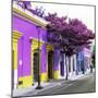 ¡Viva Mexico! Square Collection - Purple Facade in Oaxaca-Philippe Hugonnard-Mounted Photographic Print