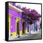¡Viva Mexico! Square Collection - Purple Facade in Oaxaca-Philippe Hugonnard-Framed Stretched Canvas