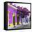 ¡Viva Mexico! Square Collection - Purple Facade in Oaxaca-Philippe Hugonnard-Framed Stretched Canvas